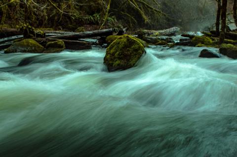 Oregon Alsea Falls